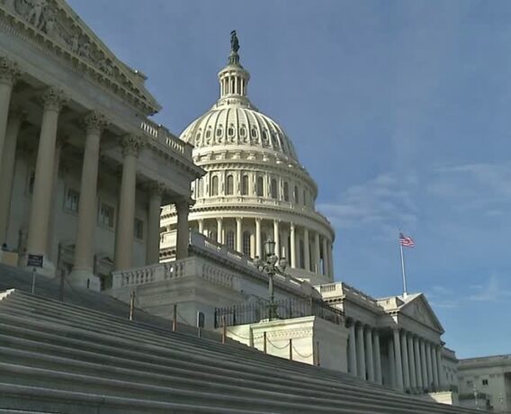U.S. Senate seats flip in competitive races